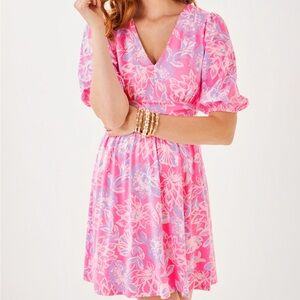 NWT Lilly Pulitzer Sz 16 Brightan Dress Rousseau Pink Zen Garden
